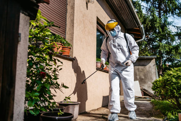 Reliable Sharpsburg, NC Pest Control Solutions